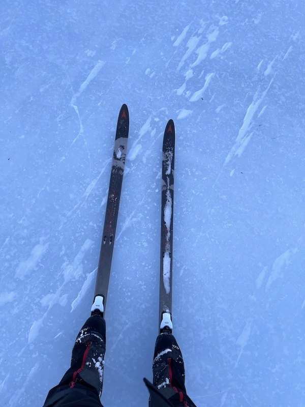 Skiis on Kungsleden trail